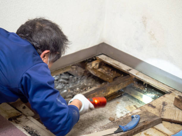 Water Damage Restoration in Tazewell, VA