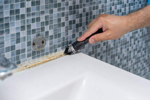 Best Affordable Mold Removal  in Tazewell, VA